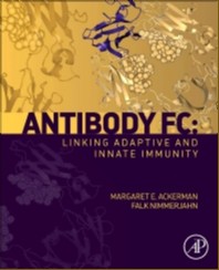 Antibody Fc: Linking Adaptive And Innate Immunity