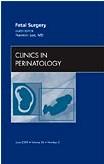 Clinics Perinatology 36-2