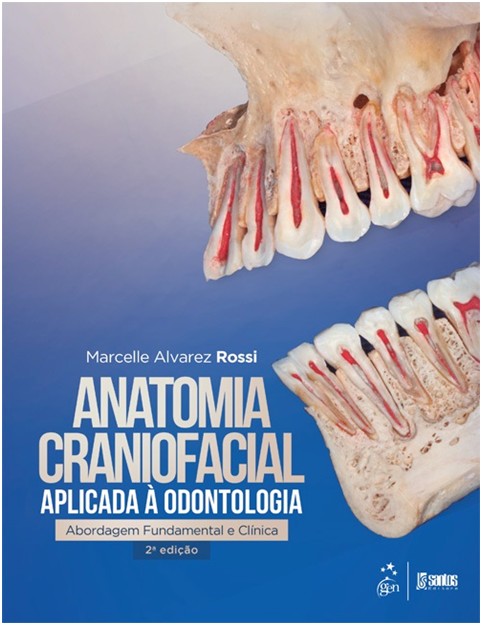 Anatomia Craniofacial Aplicada À Odontologia - Abordagem Fundamental E Clínica