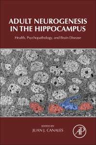 Adult Neurogenesis In The Hippocampus, Health, Psychopathology, And Brain D