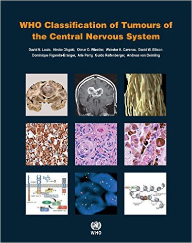 Classification Of Tumours Of The Central Nervous Syst