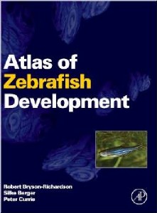 Atlas Of Zebrafish Development