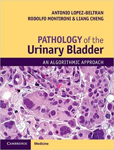 Pathology Of The Urinary Bladder