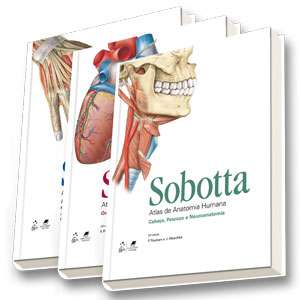 Sobotta Atlas De Anatomia Humana - 3 Volumes