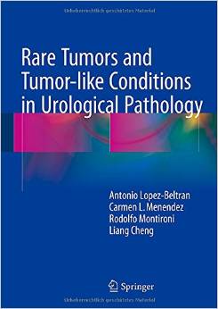 Rare Tumors And Tumor-like Conditions In Urological Pathology
